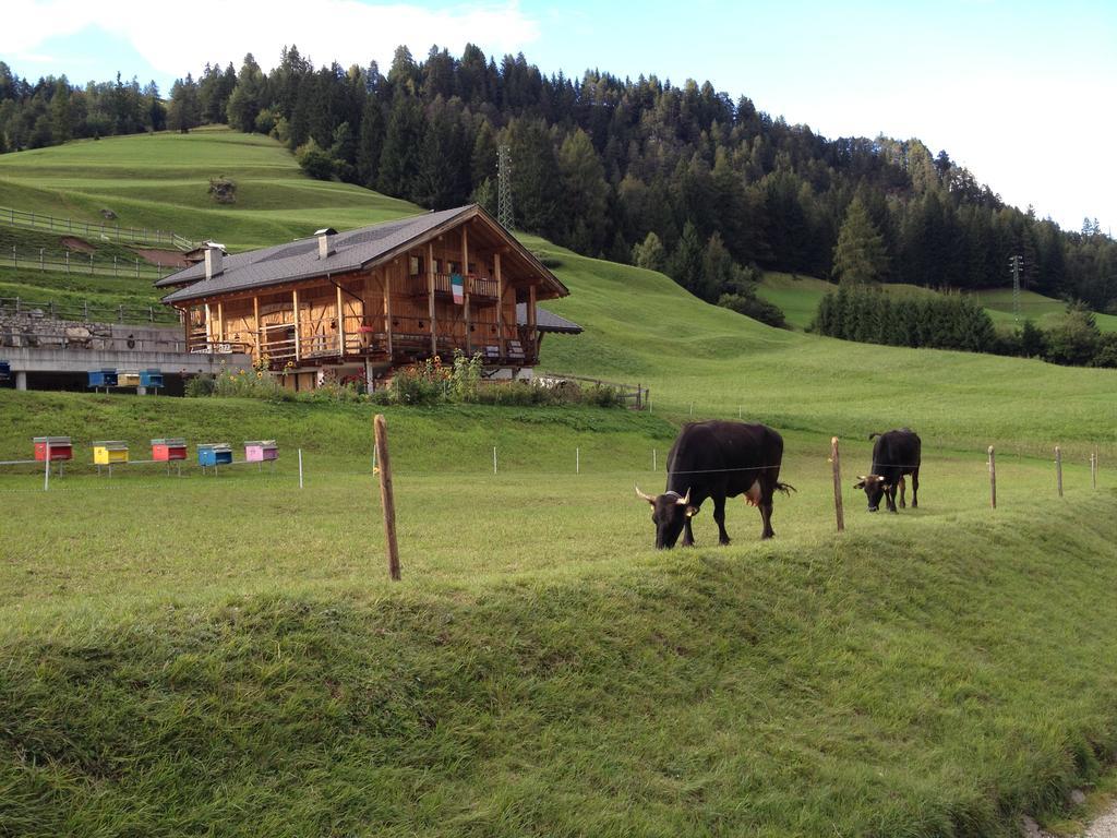 Agritur Ciasa Do Pare Villa Soraga Dış mekan fotoğraf